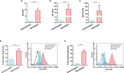 Genetic Modification of Limbal Stem Cells to Decrease Allogeneic Immune Responses